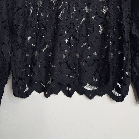 Buckle Daytrip Sheer Black Lace Top Small Fairy Grunge Whimsigoth Dark Coquette - Picture 2 of 15